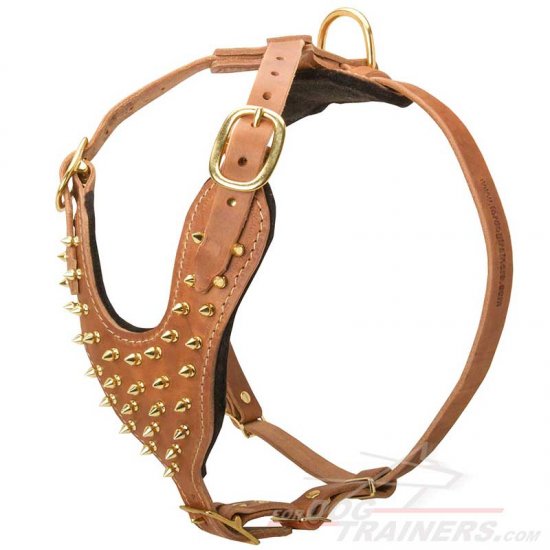 designer dog harness