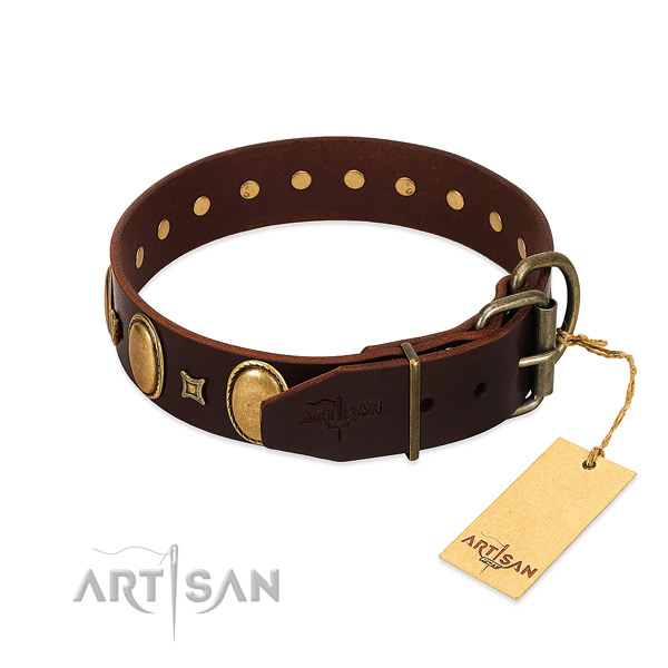 Unique Style Brown Leather Dog Collar with Old Bronze-like Plated Fittings
