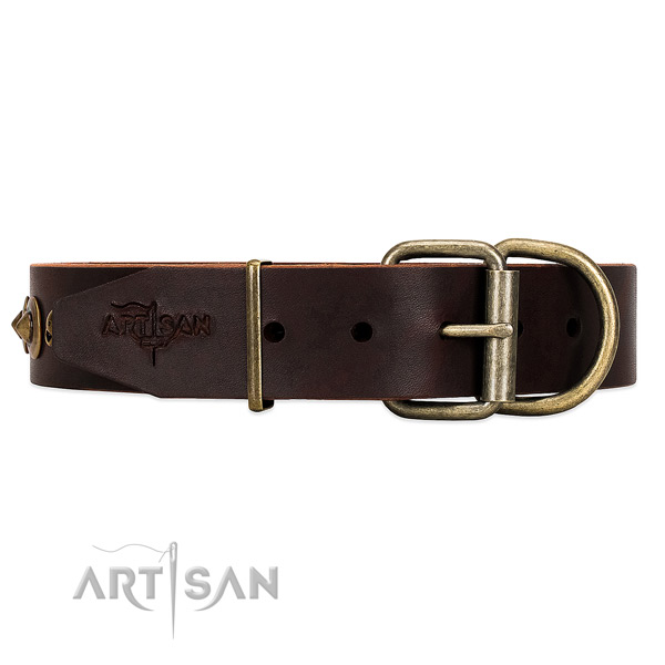 Reliable Brown Leather Dog Collar for Daily Control