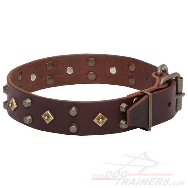 Buckled Leather Dog Collar Easy Handling