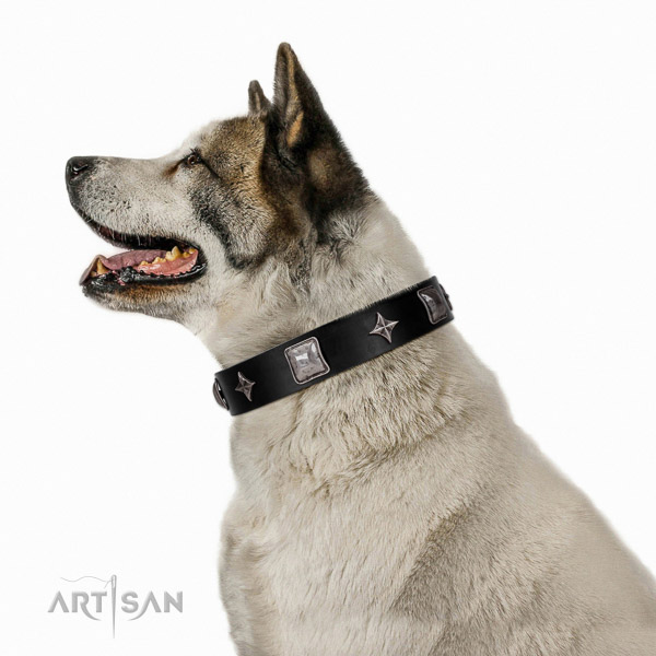 Extraordinary walking black leather Akita Inu collar with
chic decorations