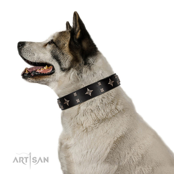 Black leather Akita Inu collar with silver-like covered
decorative elements
