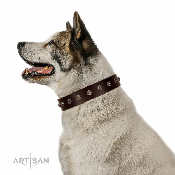 Best quality FDT Artisan brown Akita-Inu collar for
comfortable wear