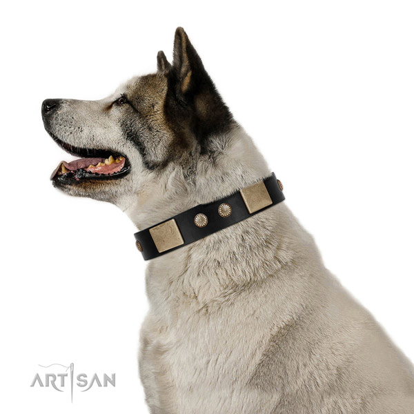 Soft Leather Akita Inu Collar for Daily Use
