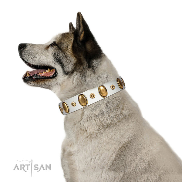 White Leather Akita Inu Collar Is a Tremendous Accessory