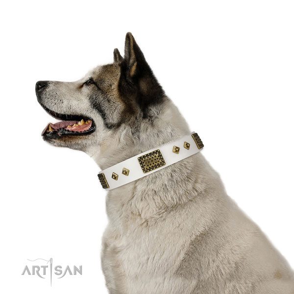 Akita Inu stylish walking dog collar of awesome quality genuine leather