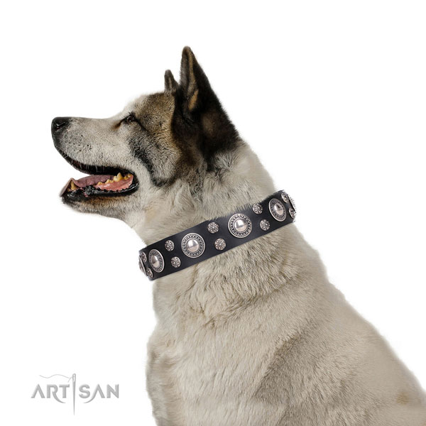 Akita Inu exquisite full grain leather dog collar with adornments