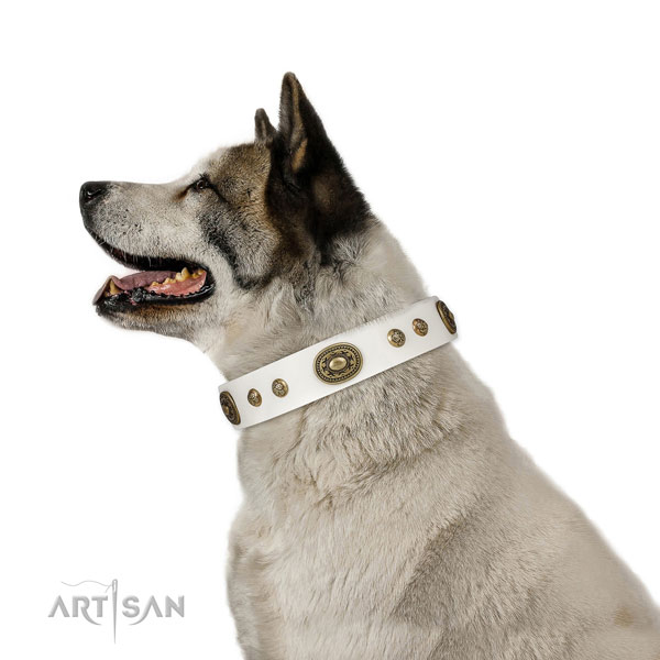 Akita Inu stylish walking dog collar of exquisite quality genuine leather