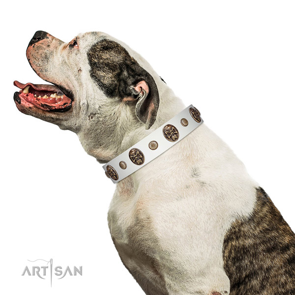 Extra Strong Leather  American Bulldog Collar with Sturdy Traditional Buckle