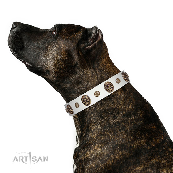 Antique Leather Dog Collar for Daily Wear