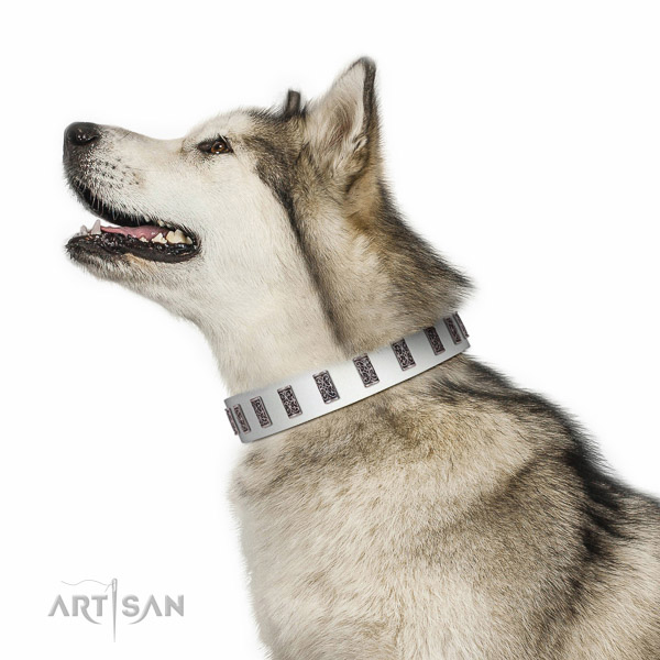 Handmade walking leather Malamute
collar for walking in style