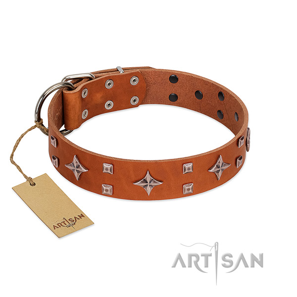 FDT Artisan tan leather dog collar to please refined
taste