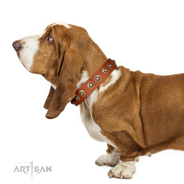 Strong Leather Basset Hound Collar with Sturdy Traditional Buckle