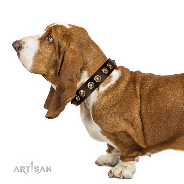 Practical leather Basset Hound collar for daily walking