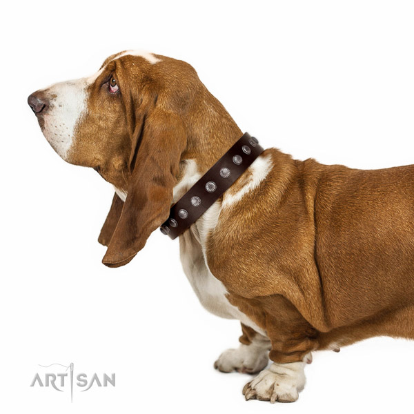Fabulous brown leather Basset Hound collar with
nice decorations