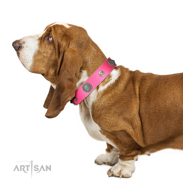 Walking leather Basset Hound
collar of good quality