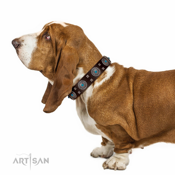 Exquisite full grain leather Basset Hound collar with adornments