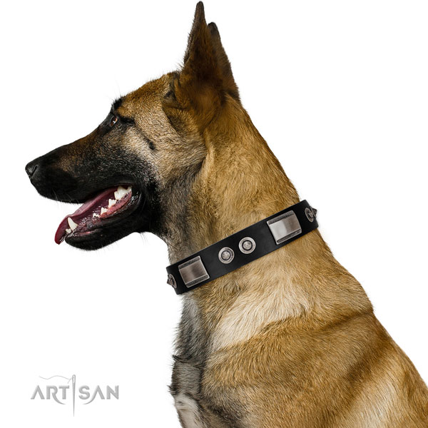 Adjustable leather Belgian Malinois collar for walking
