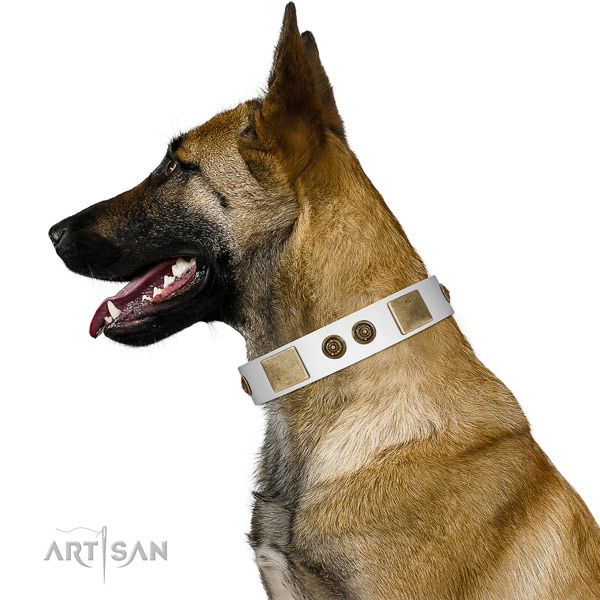 Unusual Design White Leather FDT Artisan Belgian Malinois Collar