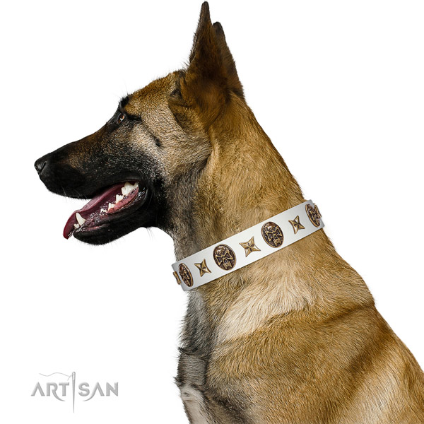 White Leather Belgian Malinois Collar with Handset Conchos and Stars