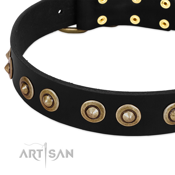Old Bronze-plated Medallions on Black Leather Dog Collar from FDT Artisan