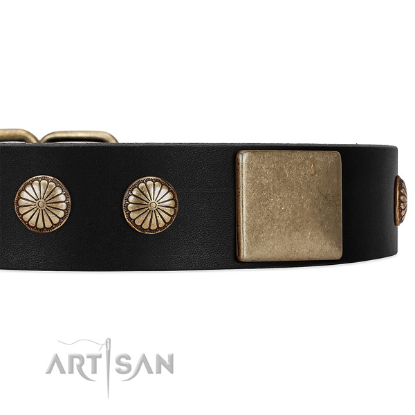 Black Dog Collar with Old-bronze Plated Decor