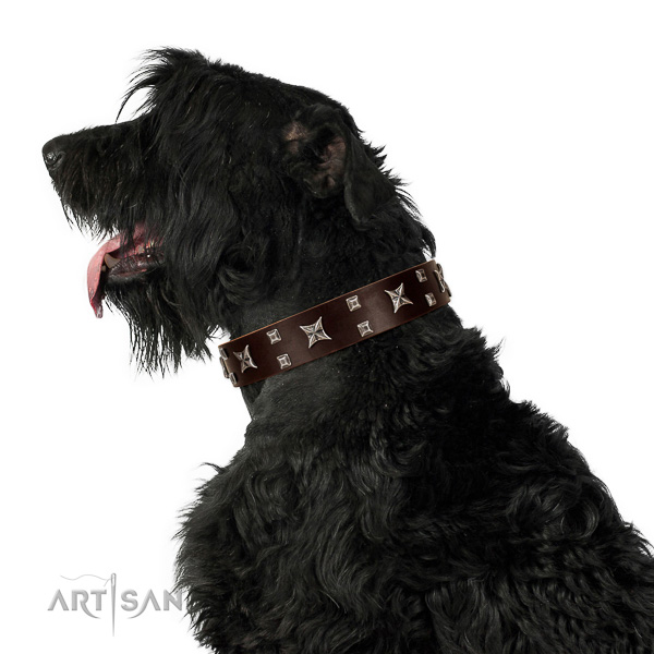 Comfortable Wearing Black Russian Terrier Collar of
Awesome Quality Leather