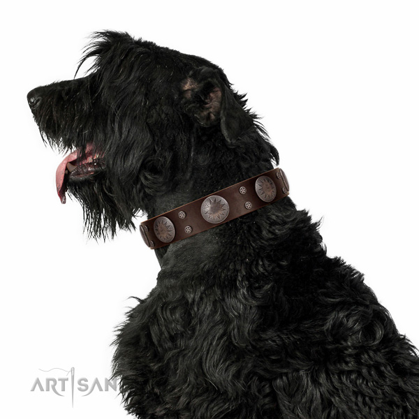 Black Russian Terrier leather collar with powerful design