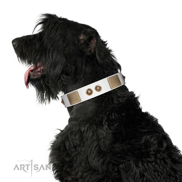 Full Grain Leather Black Russian Terrier Collar with Plates and Circles