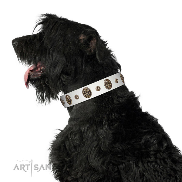 Wonderful Black Russian Terrier Artisan leather collar
for better control