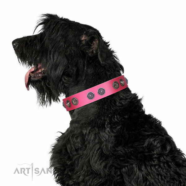 Extraordinary walking pink leather Black Russian Terrier
collar with chic decorations