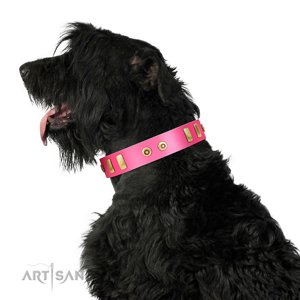 Extraordinary walking leather Black Russian Terrier
collar