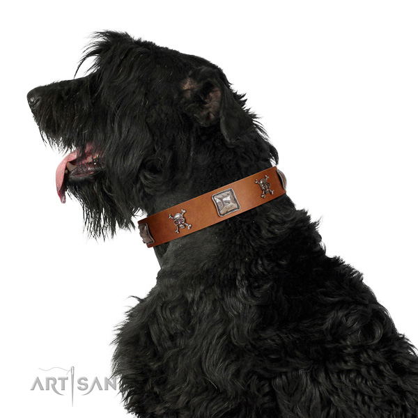 Soft Leather Black Russian Terrier Collar is Comfortable
to Wear