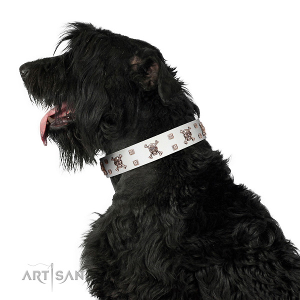 Extraordinary walking white leather Black Russian Terrier
collar with
chic decorations