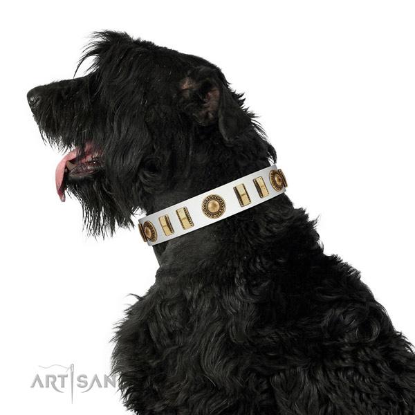 Natural Leather Black Russian Terrier Collar with
Incredible Adornments