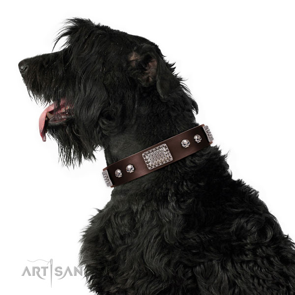 Black Russian Terrier easy wearing dog collar of flexible leather