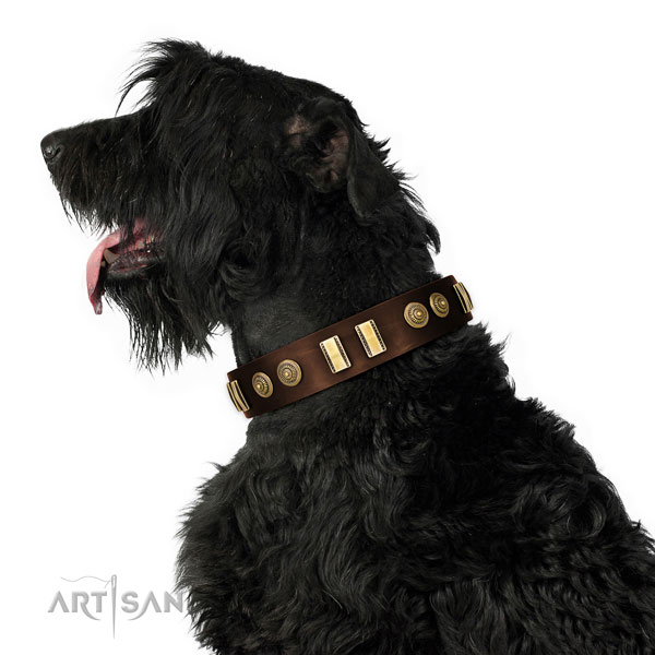 Black Russian Terrier daily walking dog collar of comfortable leather