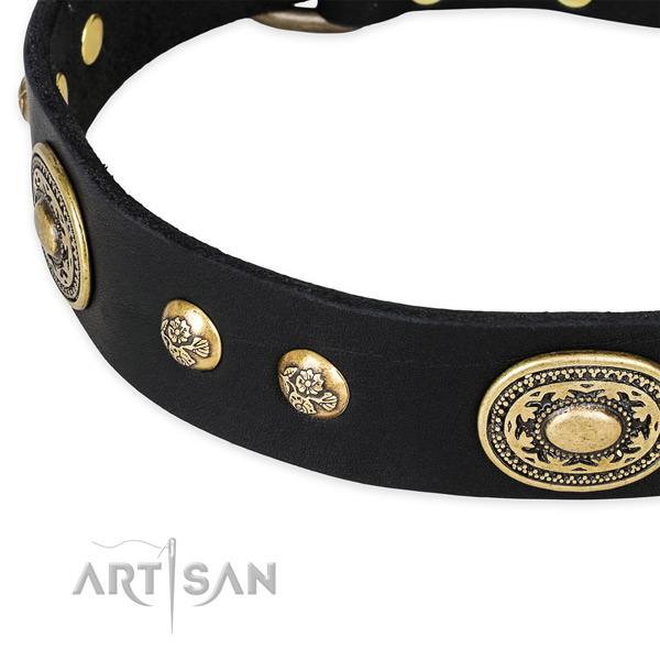 Black leather dog collar for dressy outfit