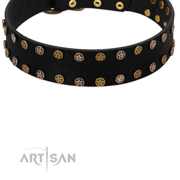 Luxurious Star Studs - Stylish Accent on Black Leather Dog Collar