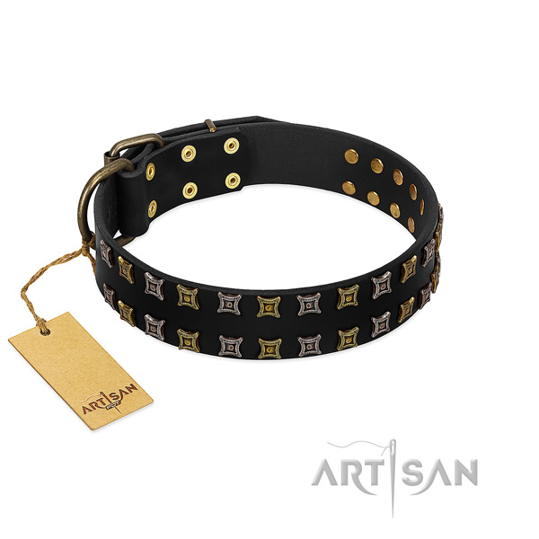 Designer Artisan leather dog collar with amazing
decorations