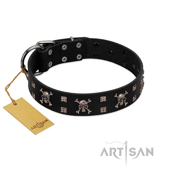Modern FDT Artisan leather dog collar