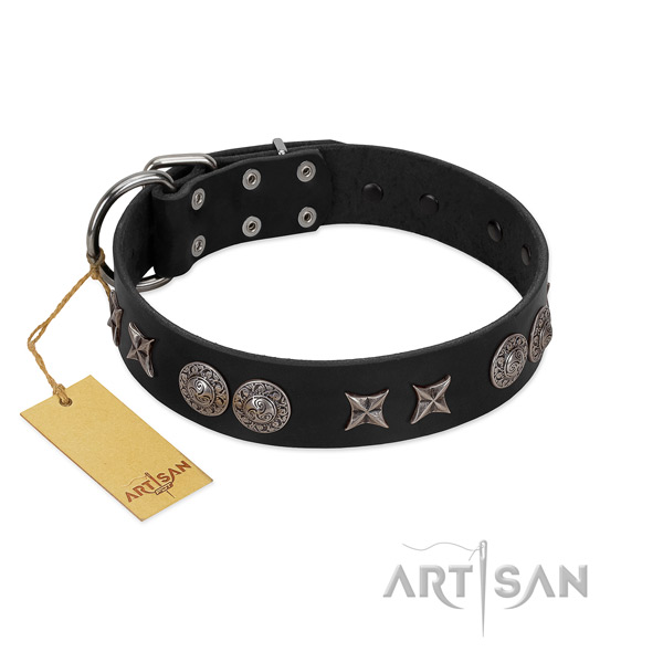 Stylish FDT Artisan leather dog collar