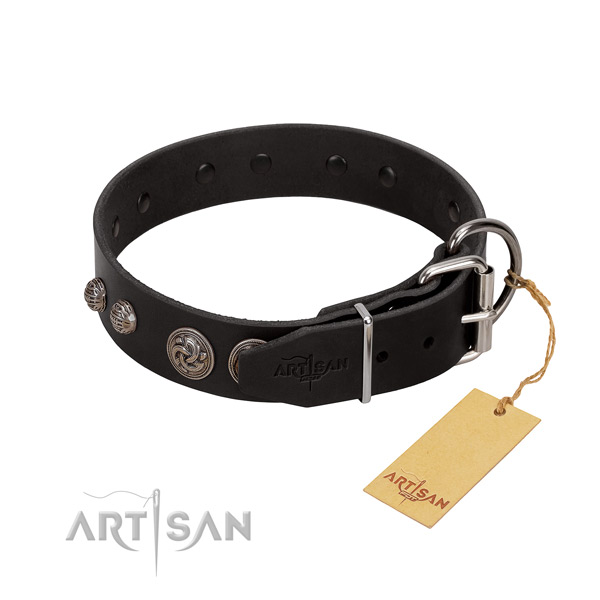 Fancy leather dog collar with sturdy fittings