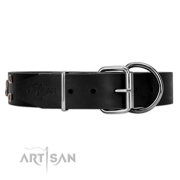 Black leather dog collar with silver studs and stars