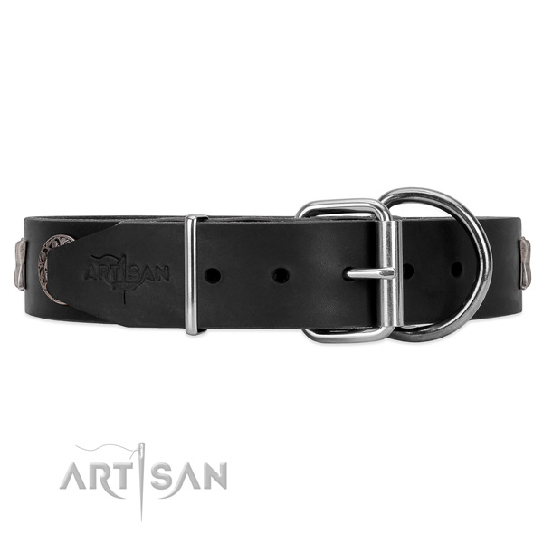 Leather dog collar with a great chrome-plated hardware