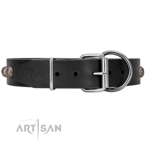 Leather dog collar with chrome-plated hardware