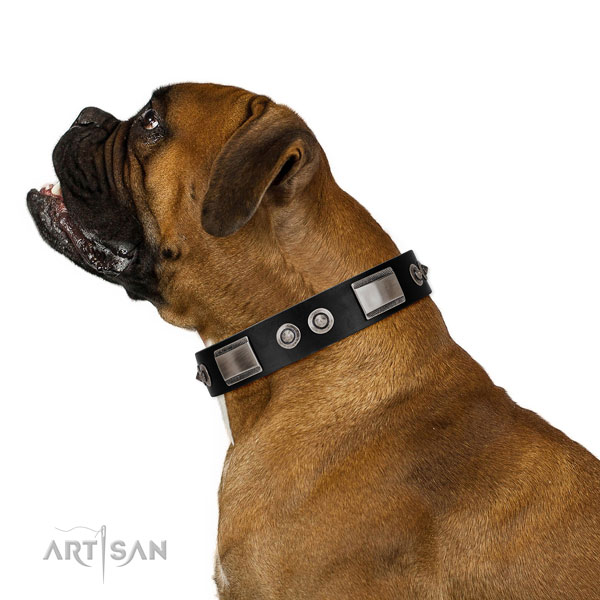Elegant leather Boxer collar for comfortable daily use