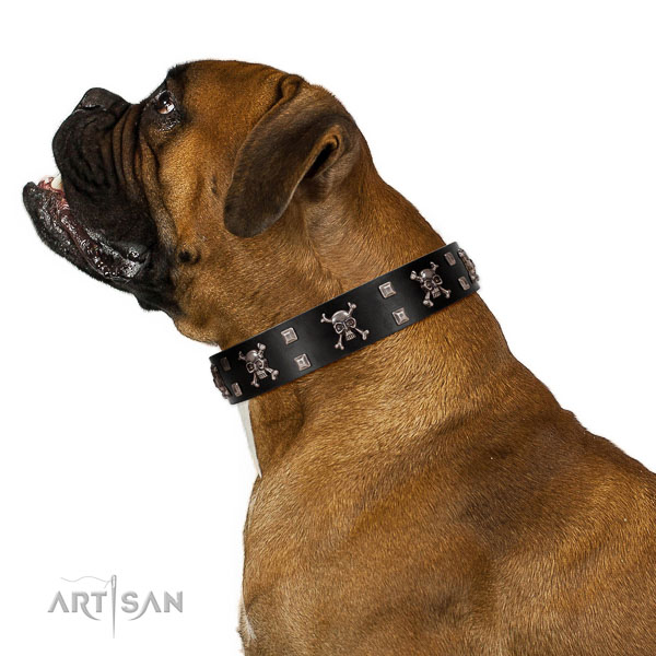 Walking best quality leather Boxer
collar