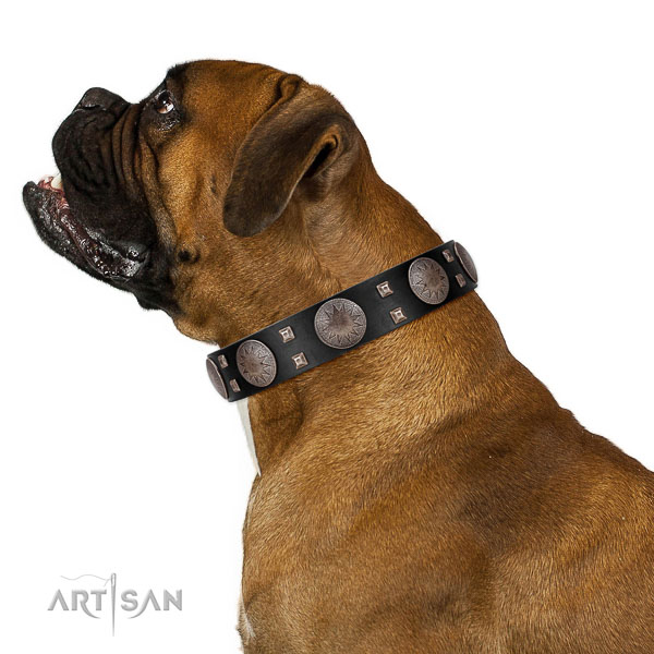 Extraordinary walking black leather Boxer collar with
chic decorations