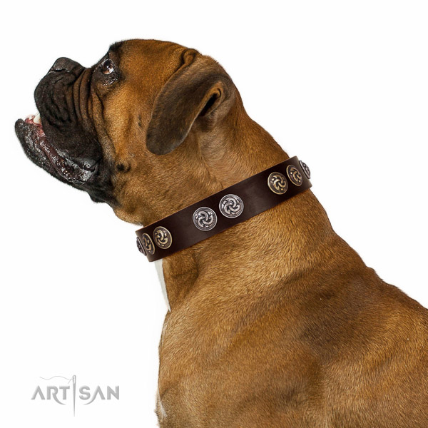 Comfortable leather Boxer collar for comfortable walking